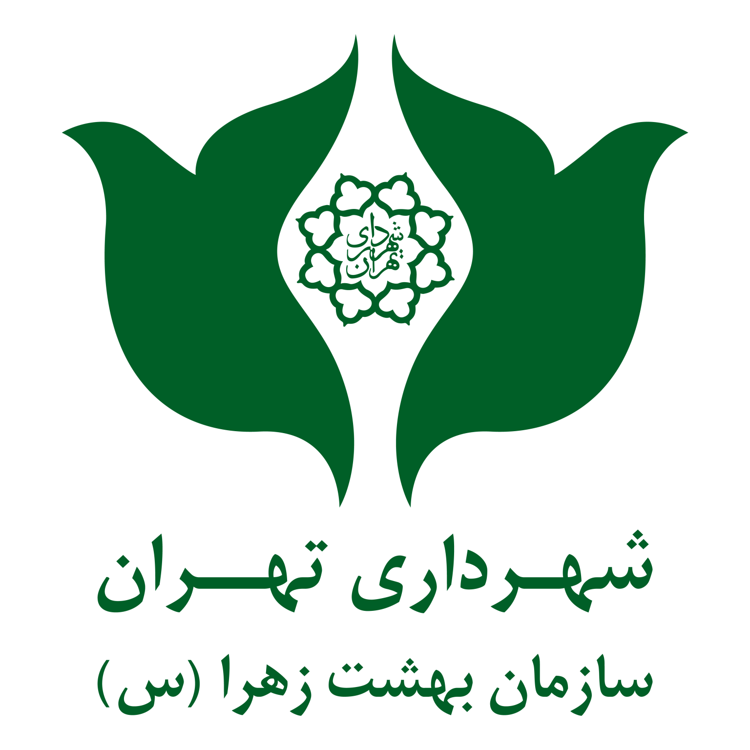 تیک تاک
